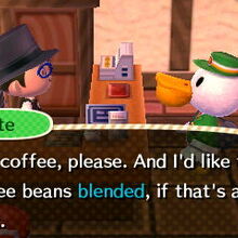 Coffee Preferences Animal Crossing Wiki Fandom You can get the best discount of up to 65% off. coffee preferences animal crossing