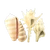 NH-Furniture-Shell partition
