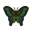 NH-Icon-peacockbutterfly.png
