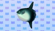 Lune de mer dans New Leaf