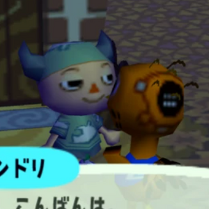 Nindori Animal Crossing Wiki Fandom This is a list of characters from the animal crossing series, sorted by species. nindori animal crossing wiki fandom