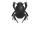 Dung beetle