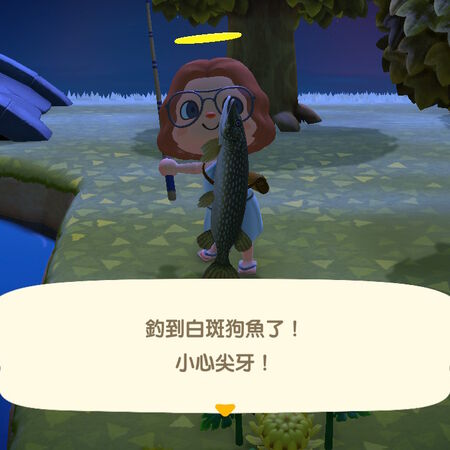 编辑 白斑狗魚 動物森友會wiki Fandom
