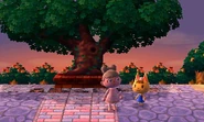 Cathie et le joueur dans New Leaf