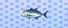 Giant trevally