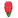 NH-red hyacinth icon