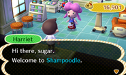 Harriet greeting the player in New Leaf