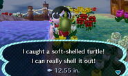 Soft-shelled turtle in New Leaf.