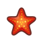 NH-Icon-seastar