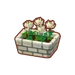PC-FurnitureIcon-potted white clovers.png