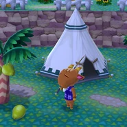 Seguin devant sa tente dans Pocket Camp.