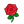 NH-red rose icon