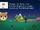 Widget Pocket Camp