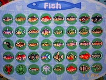 Fish Animal Crossing Wiki Fandom