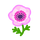 NH-pink windflowers-icon.png