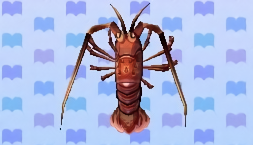 Spiny lobster/Gallery | Animal Crossing Wiki | Fandom Spiny lobster/Gallery | Animal Crossing Wiki | Fandom