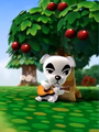 Kéké dans une pub pour Animal Crossing: New Leaf