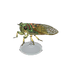 NH-Furniture-Walker cicada model.png