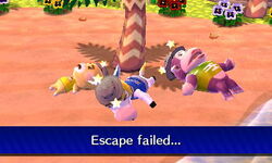 Animal Crossing: New Horizons' is the island escape we all need