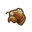 NH-Icon-cicadashell.png