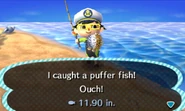 Catching a puffer fish in New Leaf
