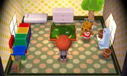 Casa de Kaimán en New Leaf