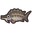 NH-Icon-sturgeon