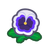 NH-white pansy icon.png
