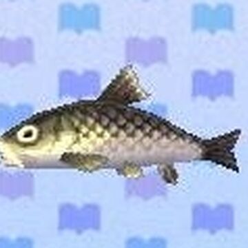 Barbel Steed Animal Crossing Wiki Fandom