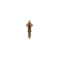 NH-Critterpedia-Firefly squid.png