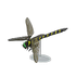 NH-Furniture-Grand b. dragonfly model.png