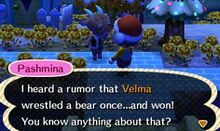 8a3b357403dd94c68fe2ea90c0074935--spreading-rumors-the-bear