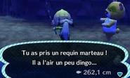 Le joueur ayant pêché un requin marteau sur la plage dans New Leaf