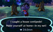 House Centipede caught in Animal Crossing: New Leaf.