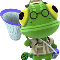 Nat Animal Crossing Wiki Fandom