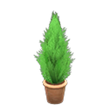 Cypress plant | Animal Crossing Wiki | Fandom