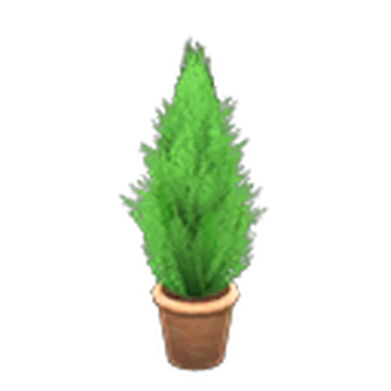 Cypress Plant Animal Crossing Wiki Fandom
