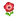 NH-red windflowers-icon