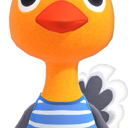 Autruche Animal Crossing Wiki Fandom Autruche Animal Crossing Wiki Fandom