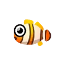 Poisson clown icône-ACPC.png (6 kio) Icône du poisson-clown dans Pocket Camp