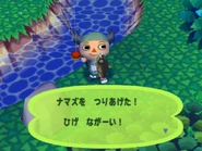 Catfish in Animal Forest