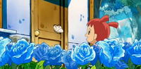 000 whitebutterfly.png