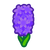 NH-purple hyacinths-icon.png