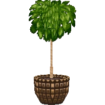 House plant set | Animal Crossing Wiki | Fandom