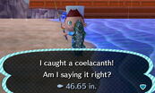 Coelacanth in New Leaf.