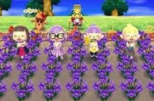 L'excursion de jardinage réussie