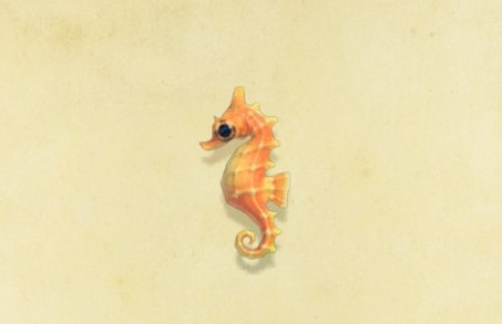 Seahorse | Animal Crossing Wiki | Fandom Seahorse | Animal Crossing Wiki | Fandom