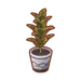 PC-FurnitureIcon-croton.png