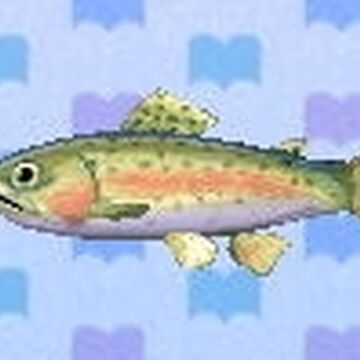 Rainbow Trout Animal Crossing Wiki Fandom