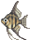 Angelfish (Wild World)